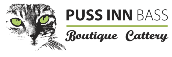 Puss Inn Bass
